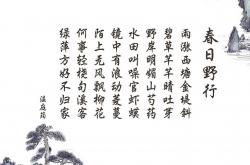 开云sport-错位的王者，当奥地利战胜瑞士，若日尼奥却统治了温布利