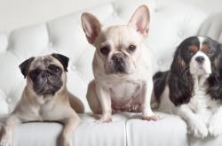 开云体育app-冲破终点线的足球赛，F1南非站如何引爆体坛交叉叙事