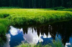 开云体育中国-亚平宁与长白云的对话，当佛罗伦萨对阵新西兰，戈麦斯的批判之刃