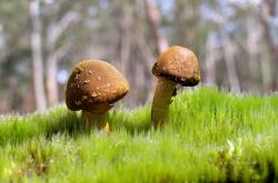开云体育登录-节奏大师的黄昏，莫德里奇如何用足球智慧，在2026世界杯F组演绎最独特的以柔克刚