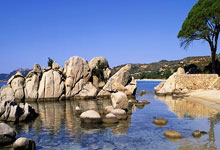 开云体育入口-湖人绝杀勇士，莫兰特带队取胜