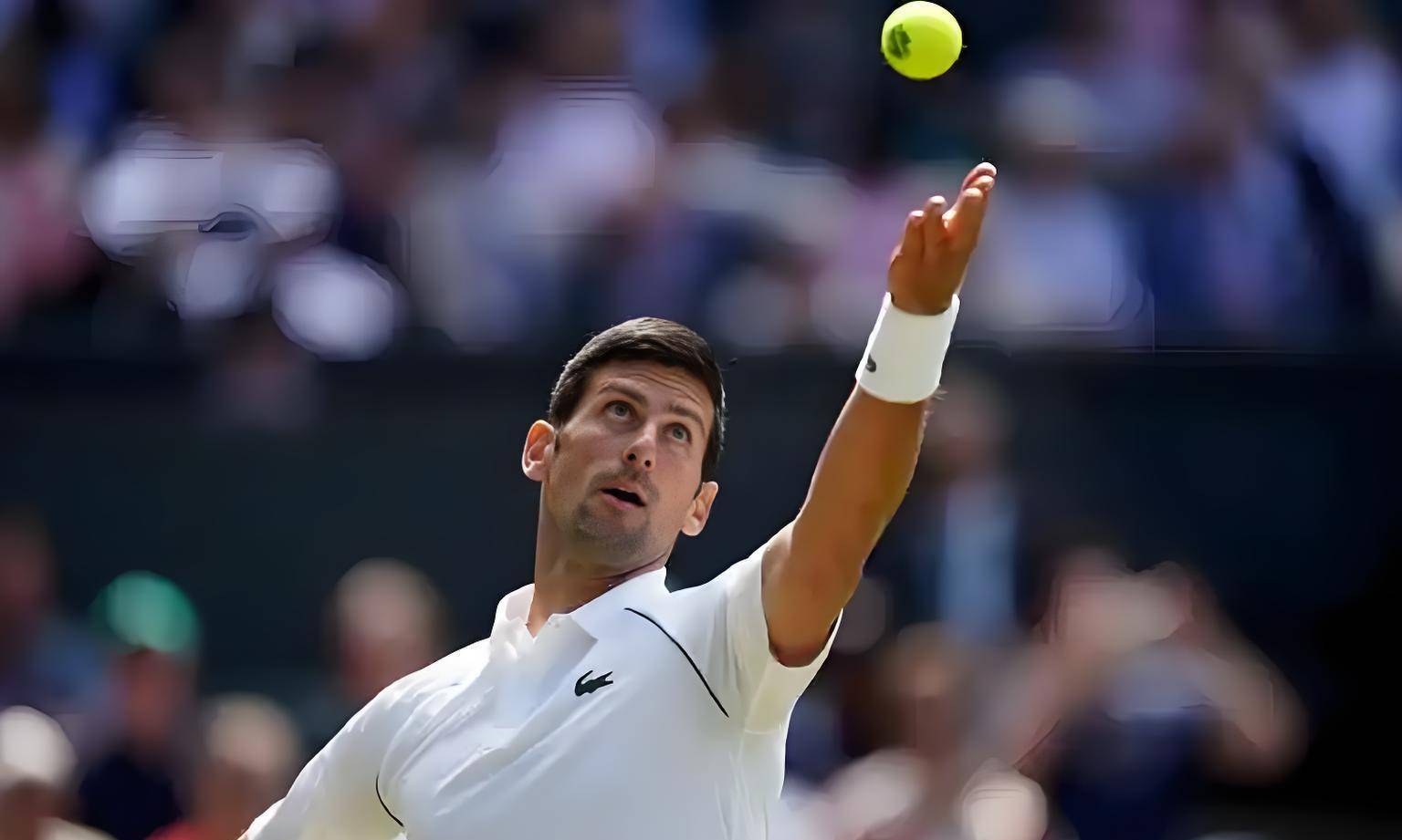 英国网球队碾压法国网球队,德约科维奇高光表现 英国网球队碾压法国网球队,德约科维奇高光表现