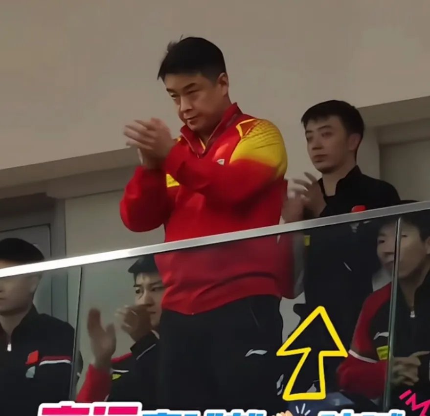 比利时乒乓球队爆冷法国乒乓球队,王皓统治全场 比利时乒乓球队爆冷法国乒乓球队,王皓统治全场