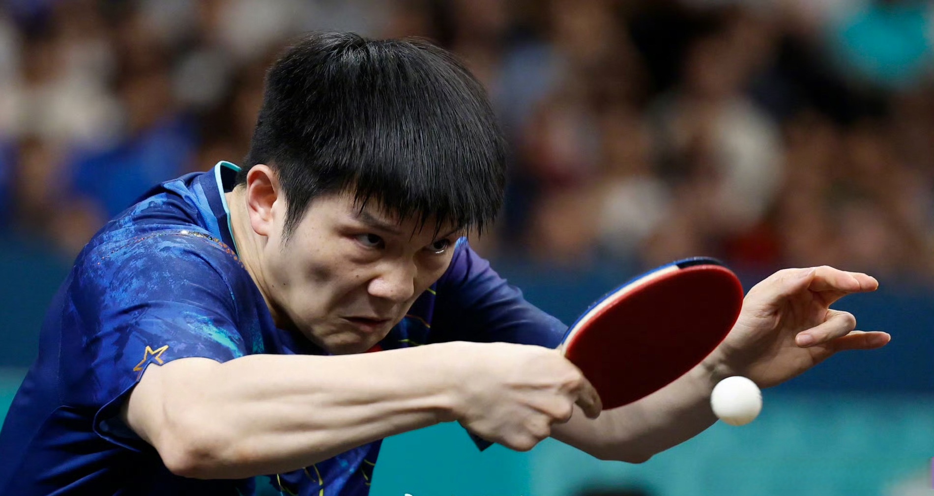 包含中国乒乓球队鏖战德国乒乓球队，樊振东打破历史纪录的词条