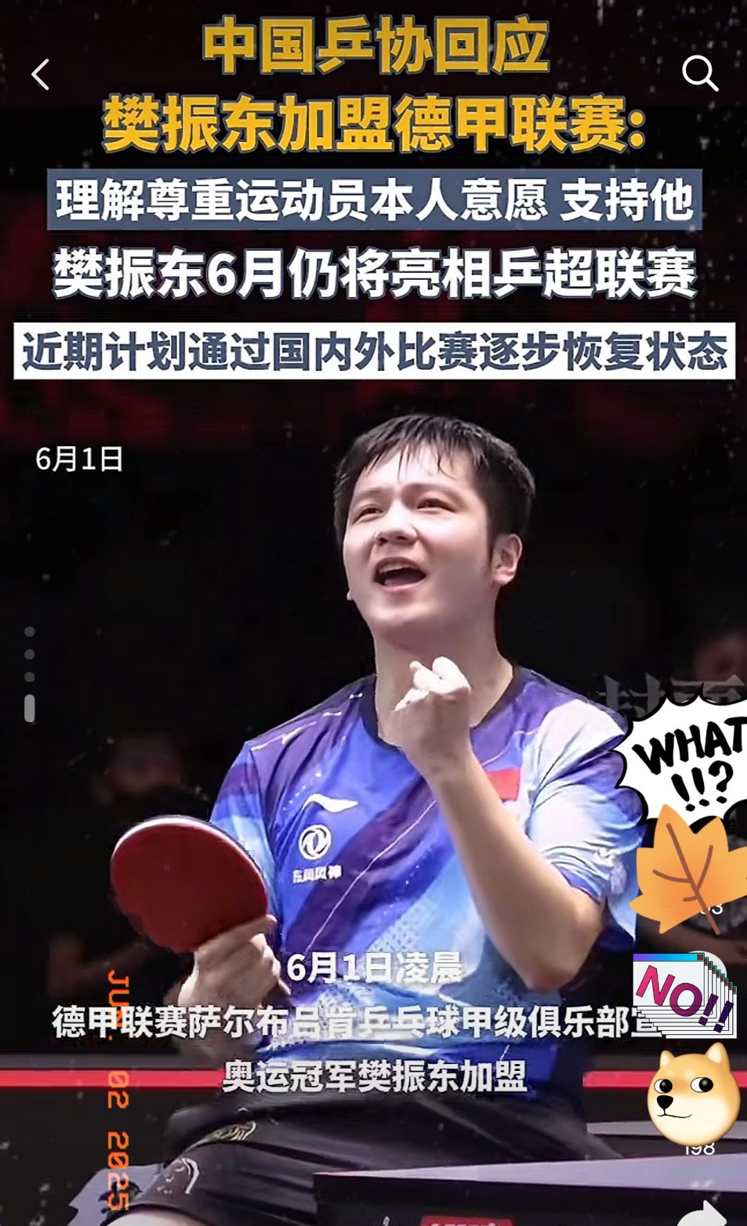 奥地利乒乓球队险胜瑞典乒乓球队,樊振东制霸全场 奥地利乒乓球队险胜瑞典乒乓球队,樊振东制霸全场