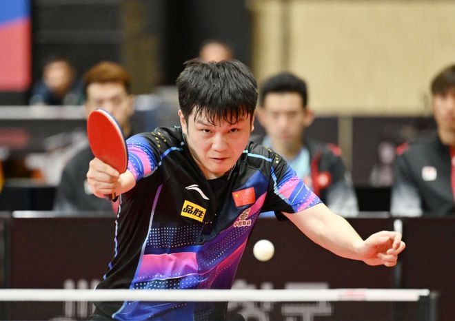 日本乒乓球队横扫波兰乒乓球队,樊振东爆发神勇的简单介绍 日本乒乓球队横扫波兰乒乓球队,樊振东爆发神勇的简单介绍