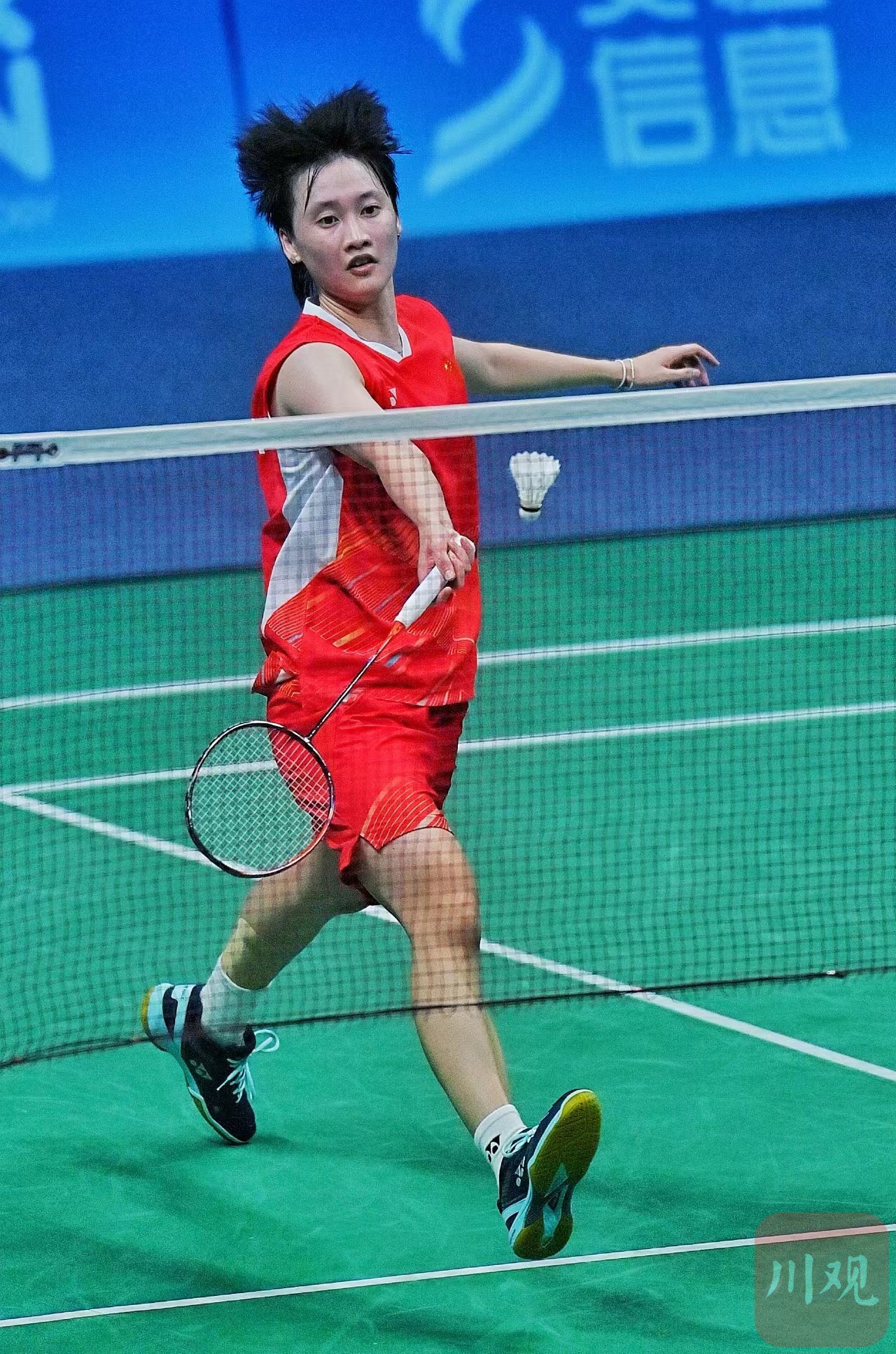 泰国队完胜韩国队，陈雨菲惊艳四座