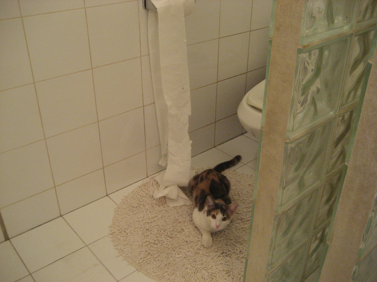 绿茵篮球场，当欧冠焦点战遭遇灰熊的关键战役