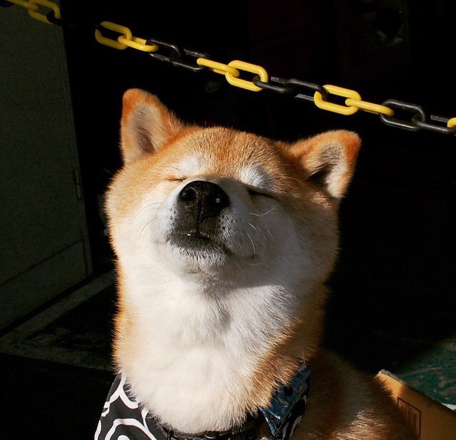 平行宇宙，当步行者冲垮灰熊，爱德华兹在欧冠决赛接管比赛