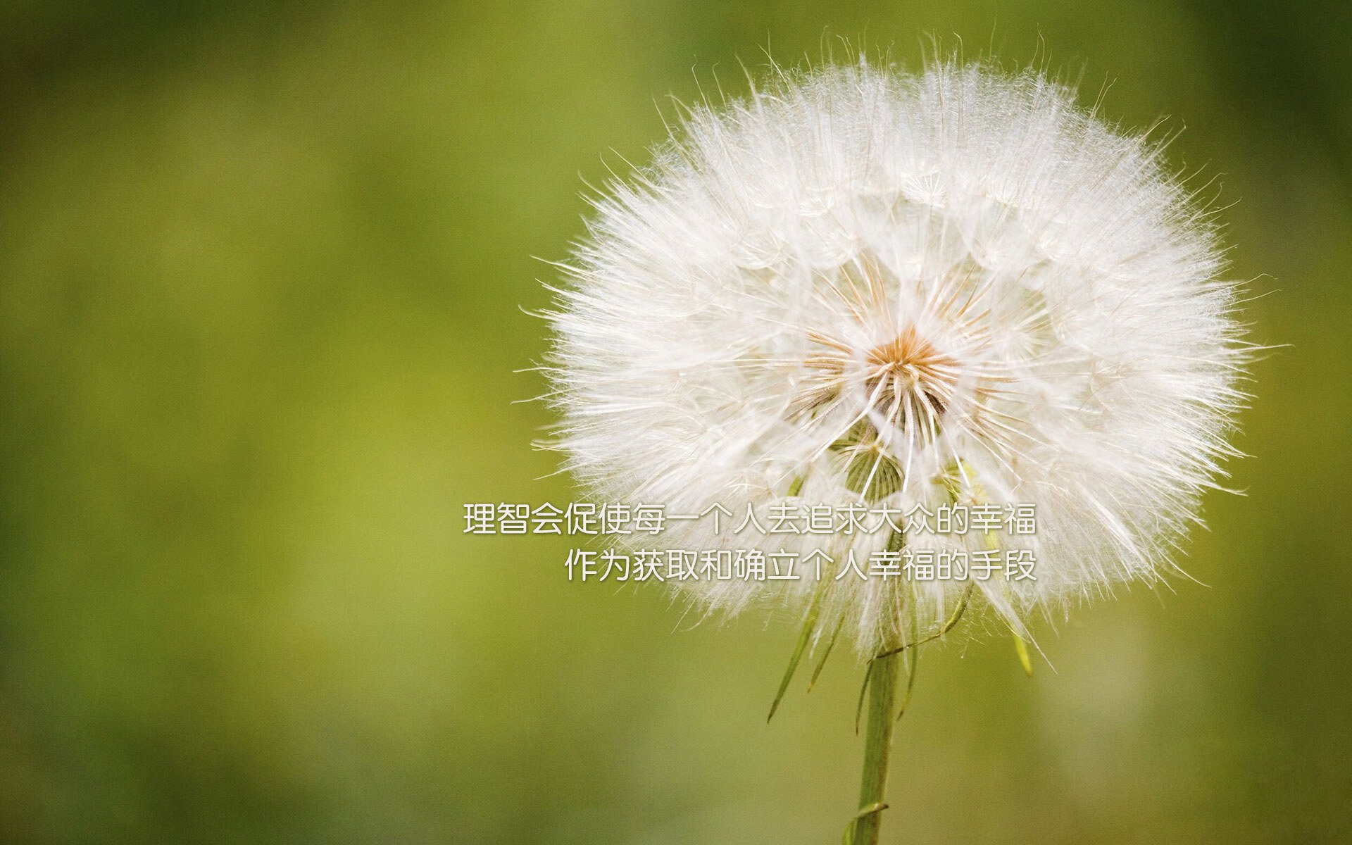 球场锁死与国境线上，当姆巴佩的防守化为埃及伸向加纳的援手