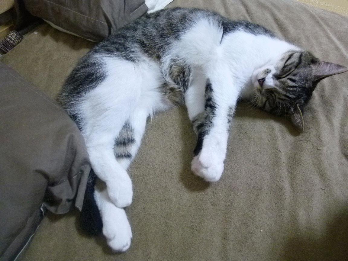 最后一战的回响,当勒布朗遇见苏亚雷斯,看加纳如何冲垮时间之墙