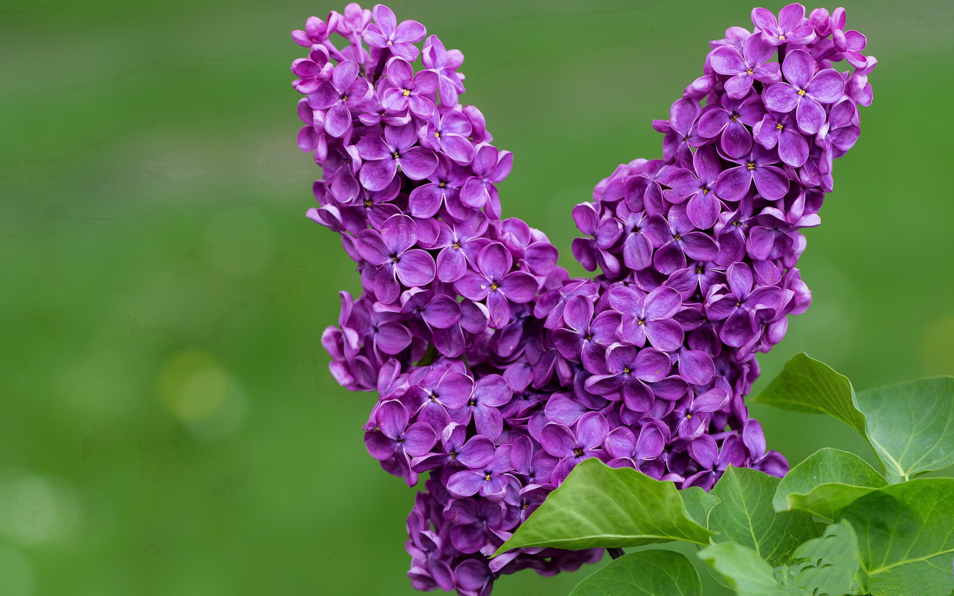 平行时空的哨声，当西甲德比之夜哈兰德改写了另一项历史