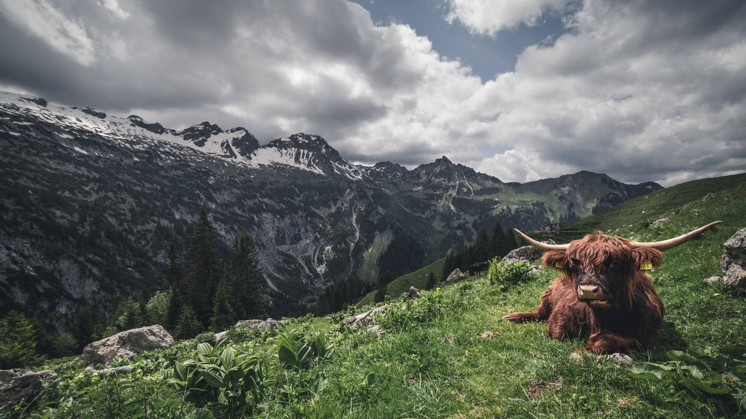 平行时空的哨声，当西甲德比之夜哈兰德改写了另一项历史