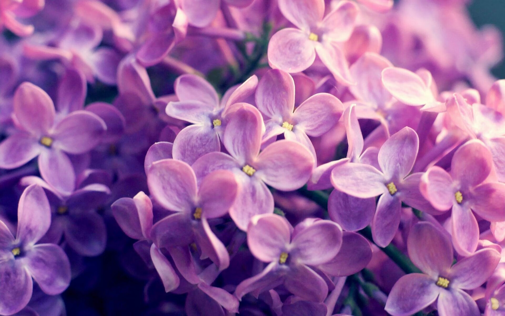 数据洪流中的孤岛,解码努涅斯爆炸之夜,足球宇宙的一次定量坍缩