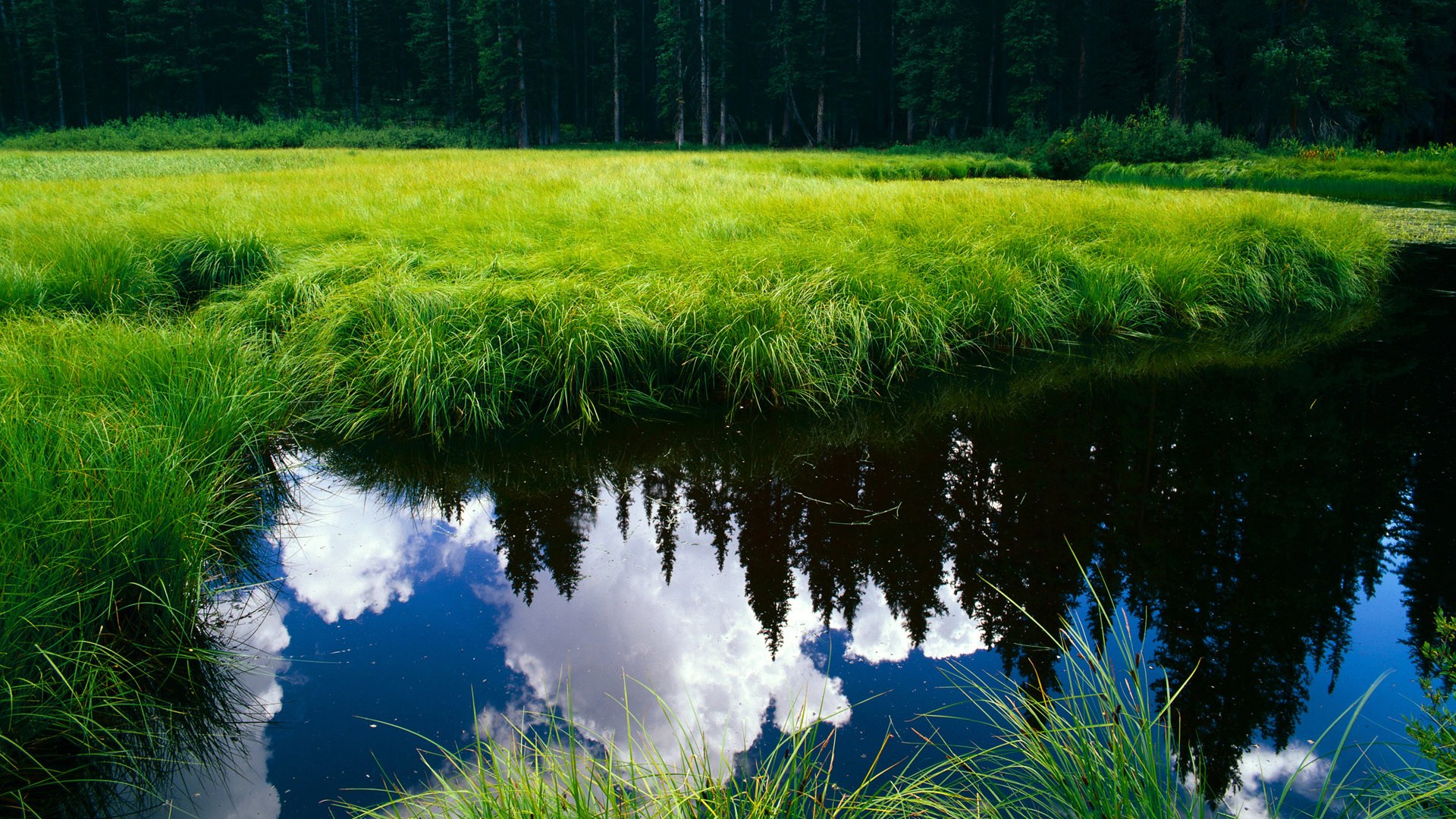 猛龙欧冠级碾压爵士,拉文跨域诠释淘汰赛主宰力