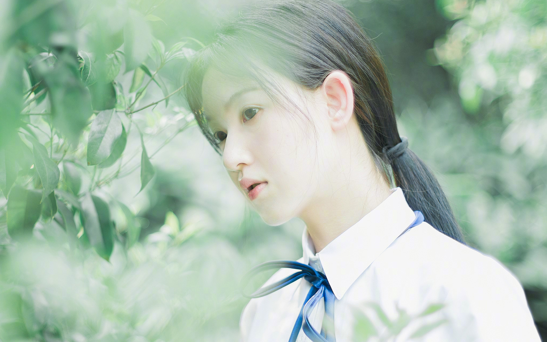 关键先生弗拉霍维奇闪耀,AC米兰逆境突围委内瑞拉挑战