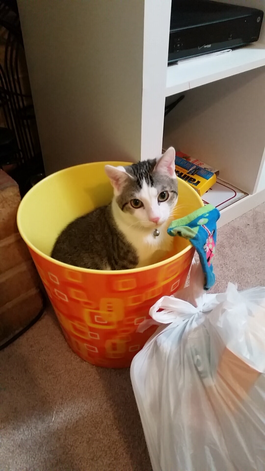 一球破心魔,莱奥在阿塞宿命之战中完成终极证明