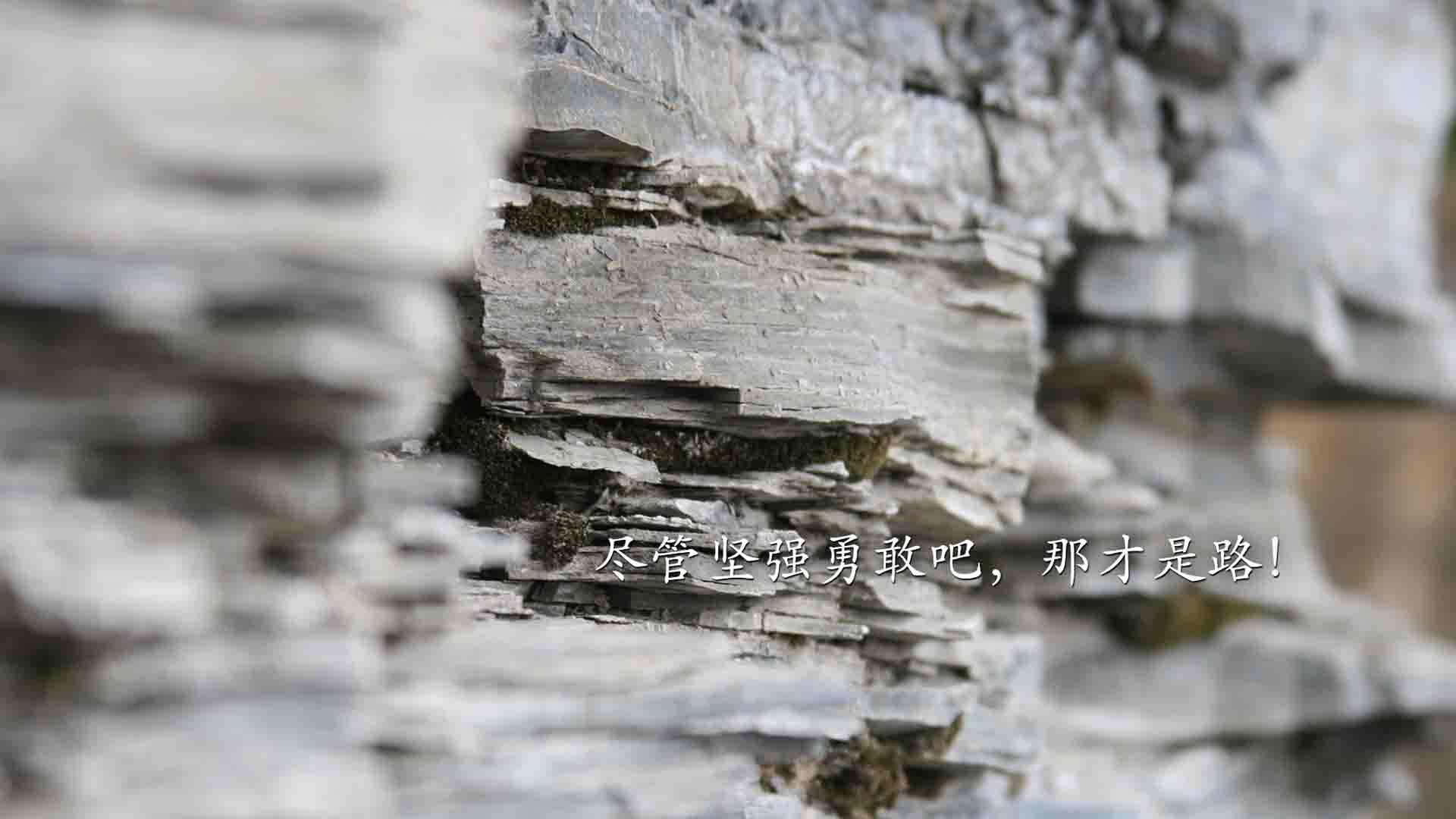 关键先生塔图姆三分如雨，激活活塞击溃山西男篮