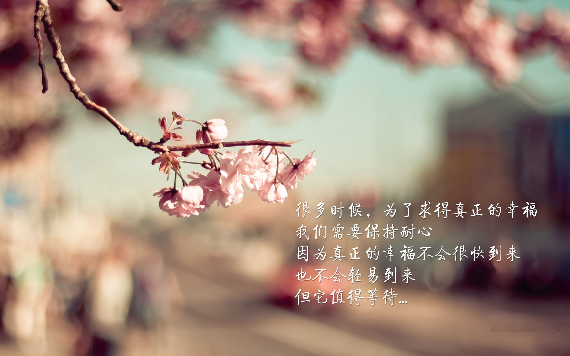 唯一的光,阿方索·戴维斯如何让2026世界杯C组之战从平庸走向传奇