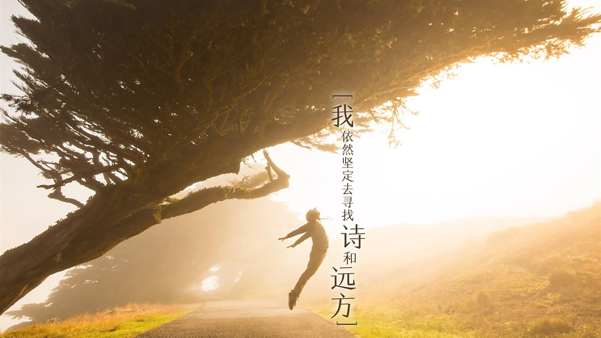2026,当蓝武士遇见马扎尔人,莱万多夫斯基在C组写下的不唯一剧本