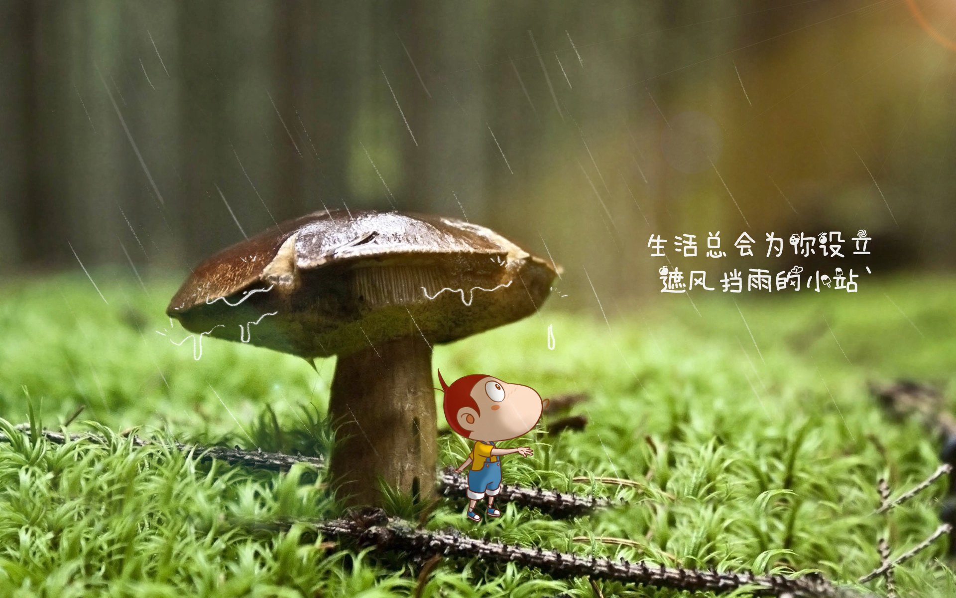 2026世界杯E组焦点战，波兰横扫加纳，C罗不老传说再写传奇